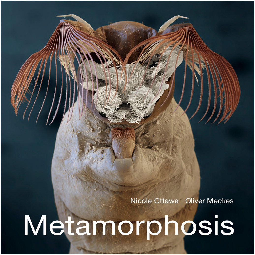 2015 Metamorphosis, Book /exibition guide